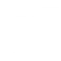 Campaign Icon